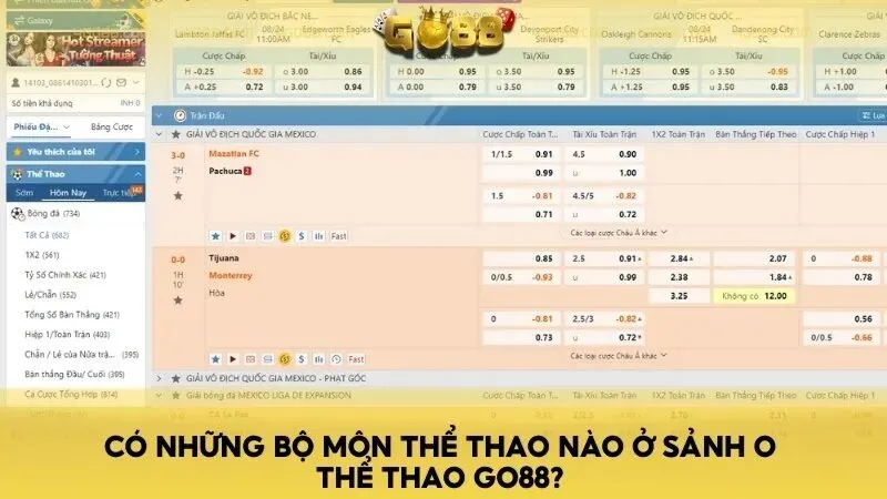 Có những bộ môn thể thao nào ở sảnh O thể thao Go88?